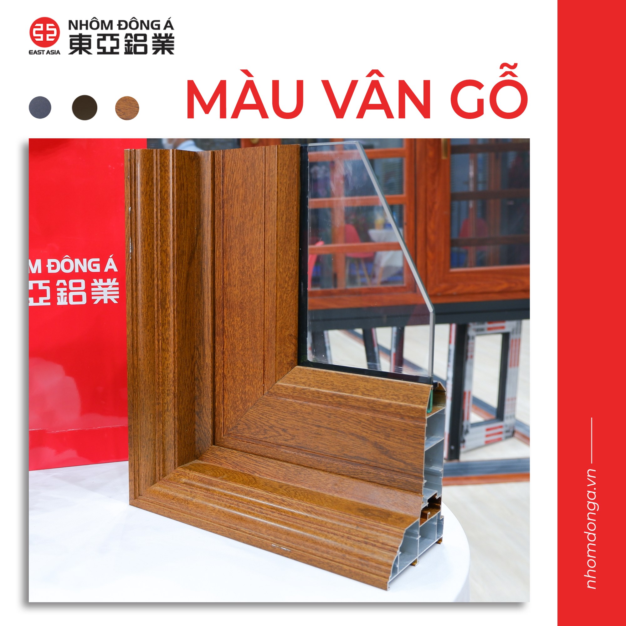 294304671_1636639580067364_2288235459269691428_n